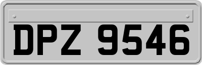 DPZ9546