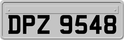 DPZ9548