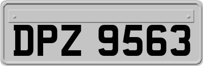 DPZ9563