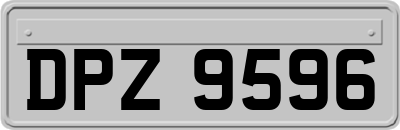 DPZ9596