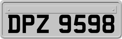 DPZ9598