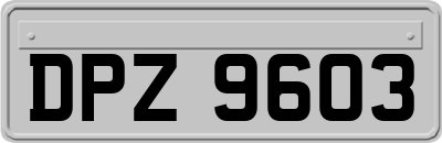 DPZ9603