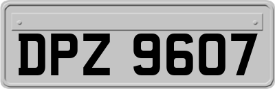 DPZ9607