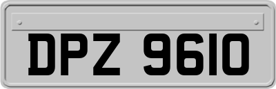DPZ9610
