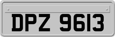 DPZ9613