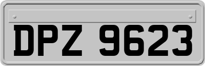 DPZ9623