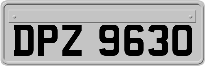 DPZ9630