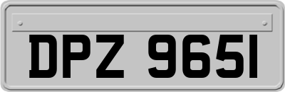 DPZ9651