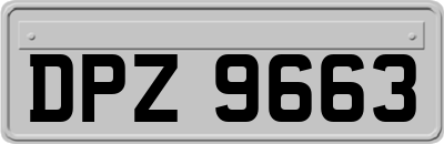 DPZ9663