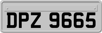 DPZ9665