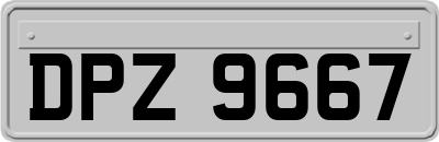 DPZ9667