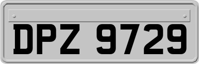 DPZ9729