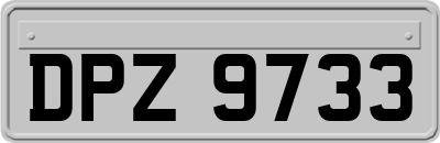 DPZ9733