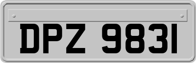 DPZ9831