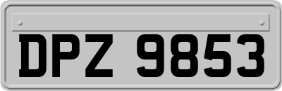 DPZ9853