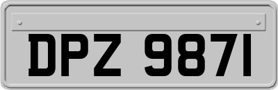 DPZ9871