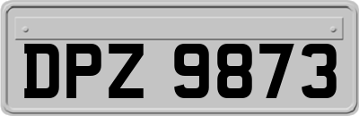 DPZ9873