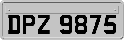 DPZ9875