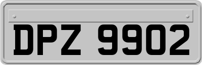 DPZ9902