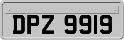 DPZ9919