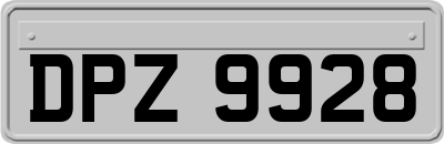 DPZ9928
