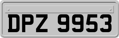 DPZ9953