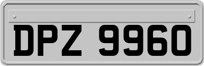DPZ9960