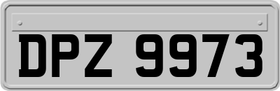DPZ9973