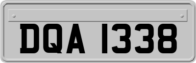 DQA1338