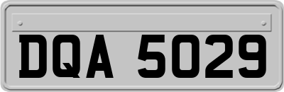 DQA5029