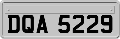 DQA5229
