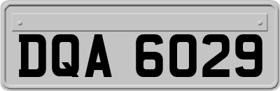 DQA6029