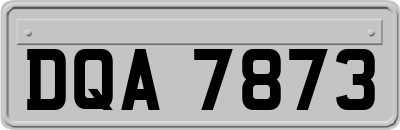 DQA7873