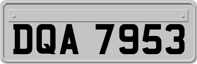DQA7953