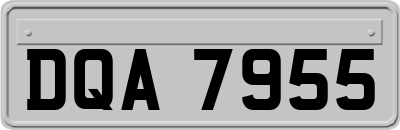 DQA7955