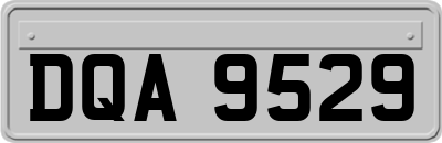 DQA9529