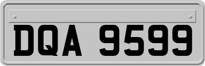 DQA9599