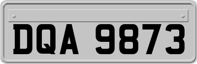 DQA9873