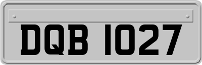 DQB1027