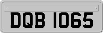DQB1065