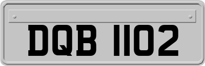 DQB1102