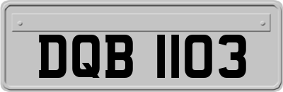DQB1103
