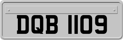 DQB1109
