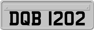 DQB1202