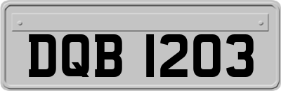 DQB1203