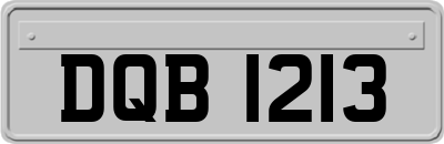 DQB1213