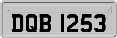 DQB1253