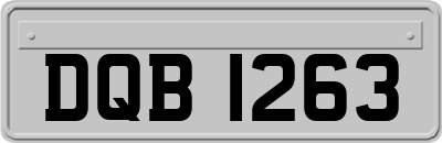 DQB1263