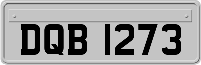 DQB1273