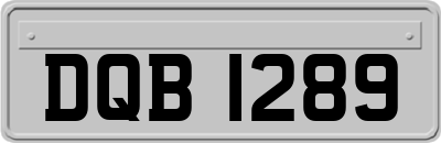 DQB1289